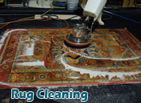 rug cleaning Service